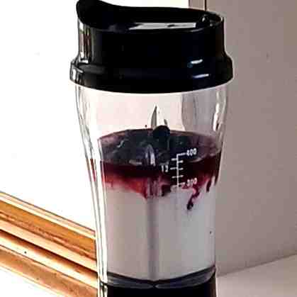 honeyberry and yogurt in blender