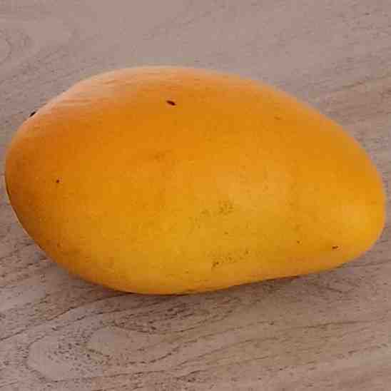 an ataulfo mango